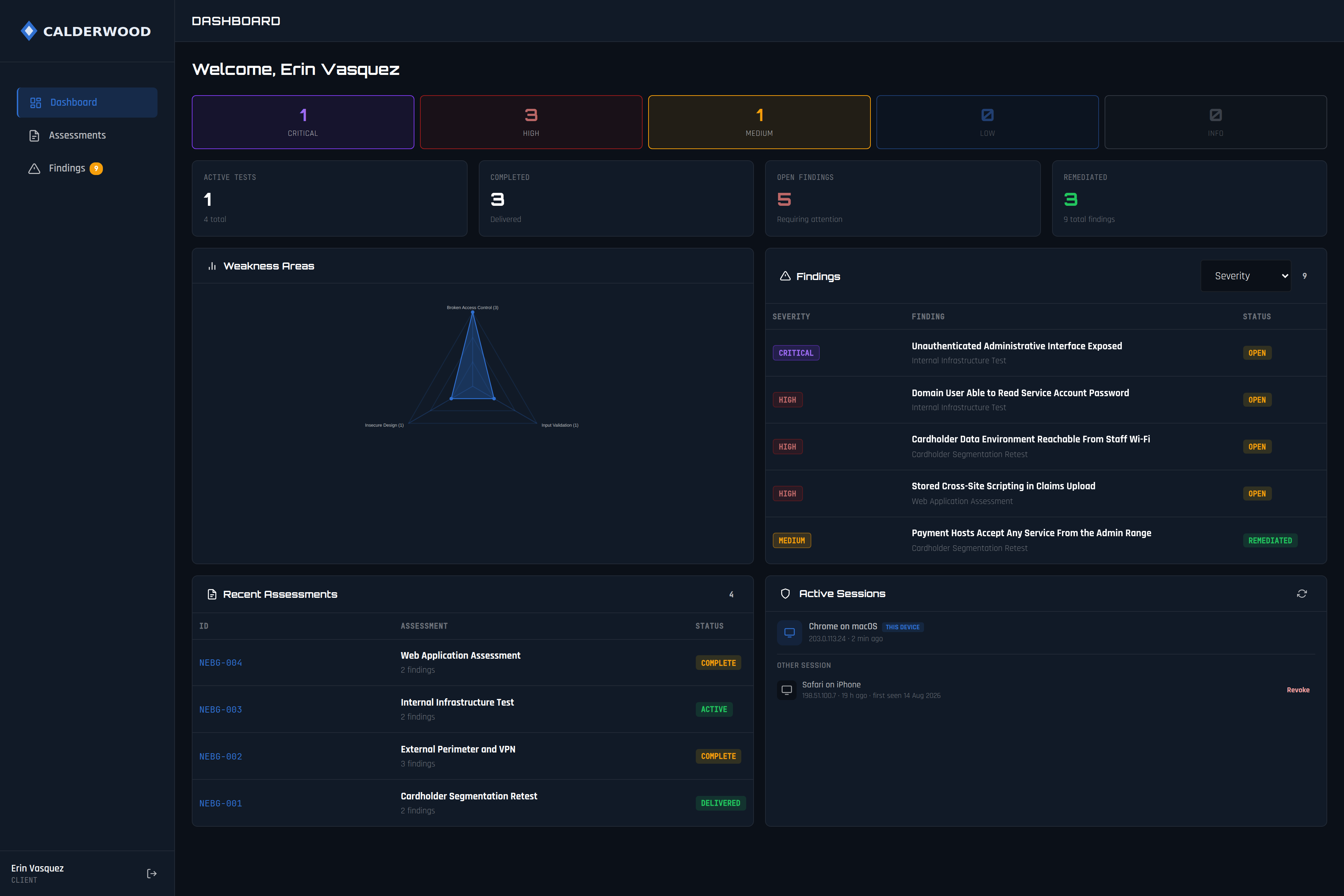 A client’s view of the same portal: their assessments, their open findings and their remediation progress.